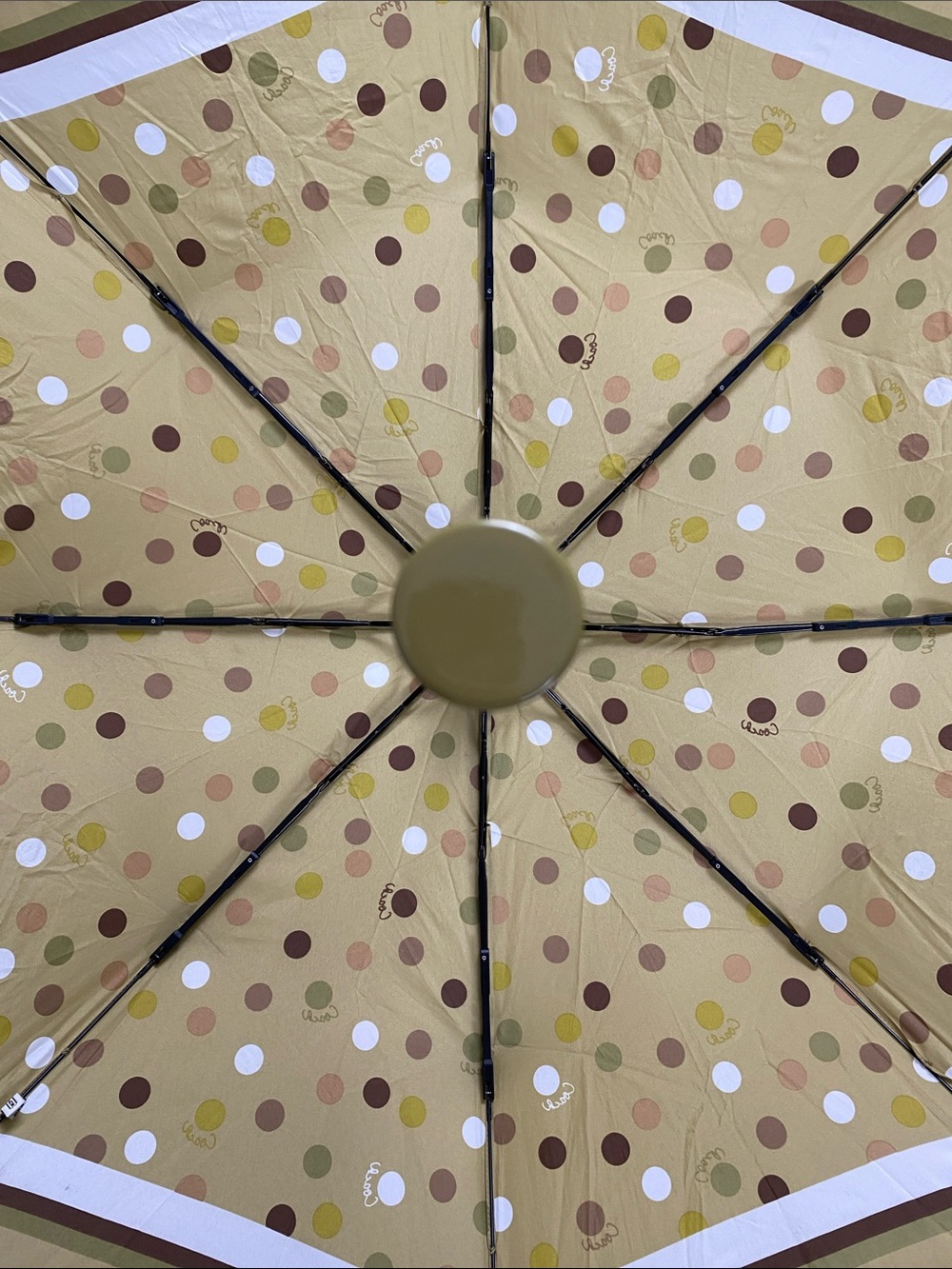 Coach Script Polka Dot Retractable Umbrella | Khaki Olive Multicolor - Picture 9 of 15